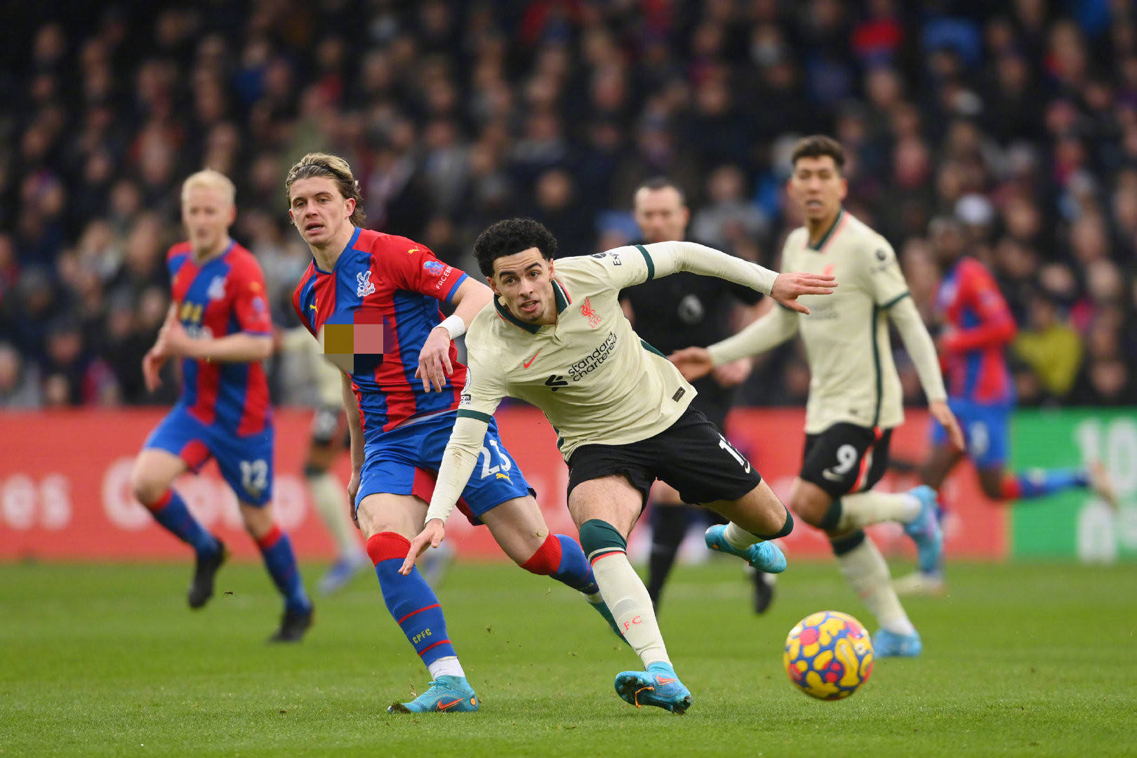 一直是球队 一直是球队